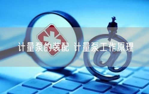 計量泵的裝配 計量泵工作原理(圖1)