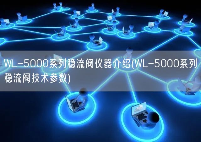 WL-5000系列穩(wěn)流閥儀器介紹(WL-5000系列穩(wěn)流閥技術(shù)參數(shù))(圖1)