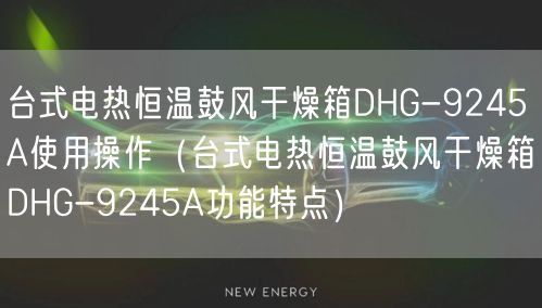 臺式電熱恒溫鼓風(fēng)干燥箱DHG-9245A使用操作（臺式電熱恒溫鼓風(fēng)干燥箱DHG-9245A功能特點）(圖1)