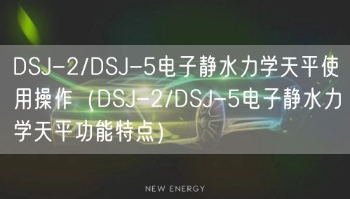 DSJ-2/DSJ-5電子靜水力學(xué)天平使用操作（DSJ-2/DSJ-5電子靜水力學(xué)天平功能特點）(圖1)