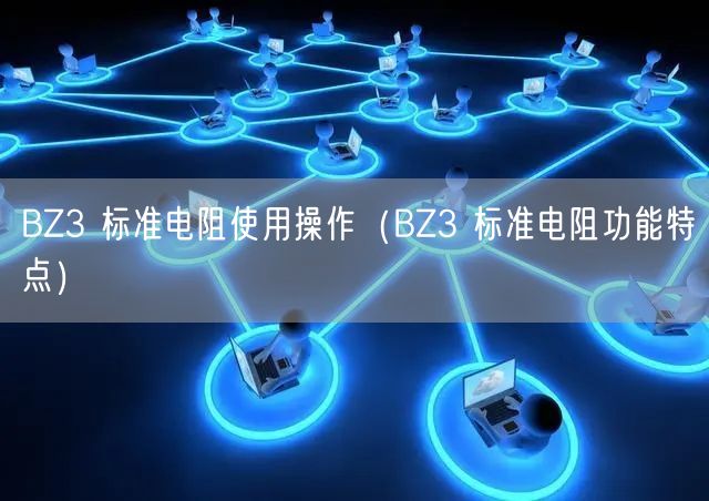 BZ3 標準電阻使用操作（BZ3 標準電阻功能特點）(圖1)